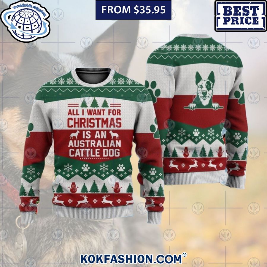 all i want for christmas is an australian cattle dog sweater 1 666 Kokfashion.com